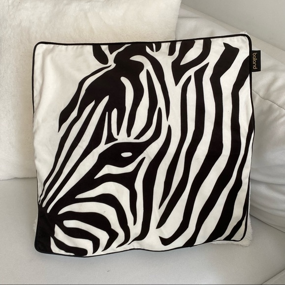 Bailand Other - BRAND NEW Bailand Decorative Pillow Covers Zebra Print